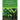Recovery Monographs Volume I: Revolutionizing the Ways That Behavioral Health Leaders Think about People with Substance Use Disorders
