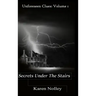 Secrets Under the Stairs