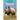 Rhinos
