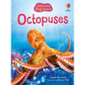 Beginners Octopuses