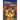 The Pyramids and King Tut