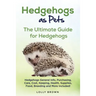 Hedgehogs as Pets: Hedgehogs General Info, Purchasing, Care, Cost, Keeping, Health, Supplies, Food, Breeding and More Included! The Ultim