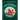The Magnificent Book of Dragons