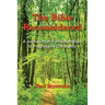 The Bible Reconsidered: A Journey from Fundamentalism to Progressive Christianity