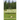 Second Cache BULL PEN CHRONICLES: More I-Witnessed Brouhaha of a Stony Mountain Game Warden