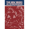 The New Negro: An Interpretation