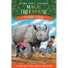 Rhinos at Recess