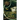 Patterns in the Dark