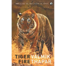 Tiger Fire: 500 Years Of The Tiger In India