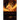 The Phoenix and the Carpet