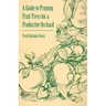 A Guide to Pruning Fruit Trees for a Productive Orchard