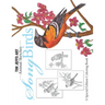 Song Birds: A Special Edition Coloring Book