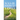 Walk Ten Steps with the Lord