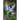 Pixylations