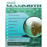 Math Mammoth Grade 5 Skills Review Workbook