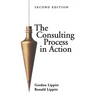The Consulting Process in Action