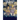 The Black Shields
