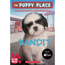 The Puppy Place #24: Bandit