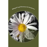 Bilingual Legal Dictionary for Interpreters: English-Spanish LEGAL Glossary