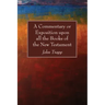 A Commentary or Exposition upon all the Books of the New Testament