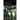 Seasons of Earth and Sky