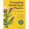 Foraging Medicinal Plants of New England: How to safely identify and prepare over 100 medicinal plants for herbal remedies