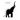 The Elephant In The Room - A Poet's Journal VII