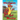Duluth the Dragon: A Big Red Bully