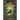 The Lost Rainforest: Mez's Magic
