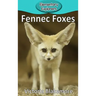 Fennec Foxes