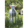 The Way it Was: A Great-grandmother's Stories of Growing up on the Farm