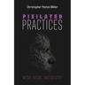 Pixilated Practices: Media, Ritual, and Identity