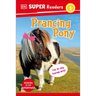 DK Super Readers Level 2 Prancing Pony