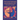 The Unitarian Universalist Pocket Guide: Seventh Edition