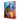 The Dark Secret: Special Edition (Wings of Fire Book Four)