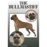 The Bullmastiff: A Complete and Comprehensive Owners Guide To: Buying, Owning, Health, Grooming, Training, Obedience, Understanding and
