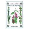 Guide to Medicinal Wild Fruits & Berries