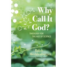 Why Call It God?: Theology for the Age of Science