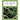 Plant Anatomy
