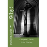 Why?: A Layman's Guide to the Liturgy
