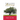 Falling Acorns: A Christian Novel - Book 2