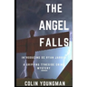 The Angel Falls: Introducing DC Ryan Jarrod in a gripping Tyneside crime mystery
