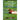 Texas Longhorns, A Short Essay