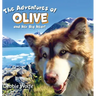 The Adventures of Olive And Her Big Heart: The Fire