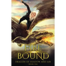Fire Bound: Dragon of Shadow and Air Book 10