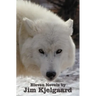 Eleven Novels by Jim Kjelgaard (complete and unabridged) including: The Spell of the White Sturgeon, The Lost Wagon, Trading Jeff and his Dog, Double