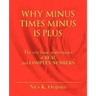 Why Minus Times Minus Is Plus: The very basic mathematics of real and complex numbers
