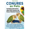 Conures as Pets: Including Information about Sun Conures and Green-Cheeked Conures: Care, training, breeding, diet, lifespan, sounds, b