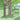 The Hugging Tree