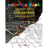 Coloring Book The Adventures of Cobasfang Raid on Norgon City